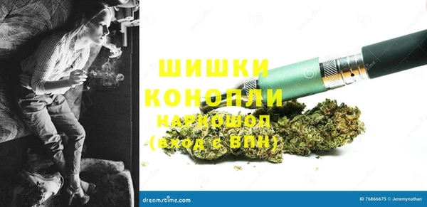 ешки Богданович