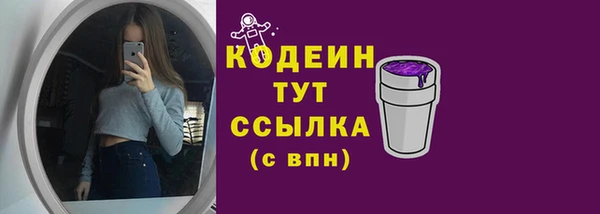 дживик Богородицк