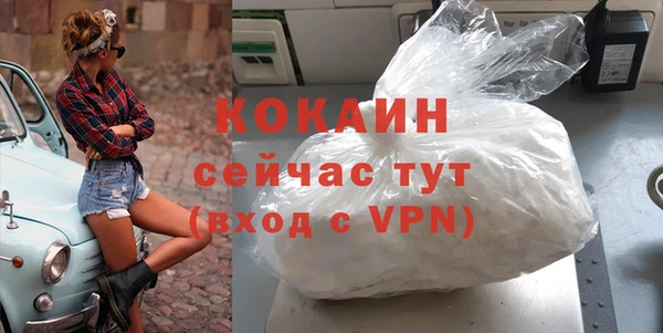 бошки Бронницы